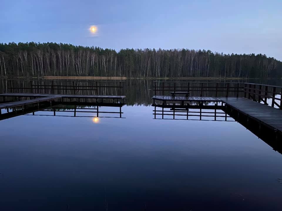 Festivalio vieta 11